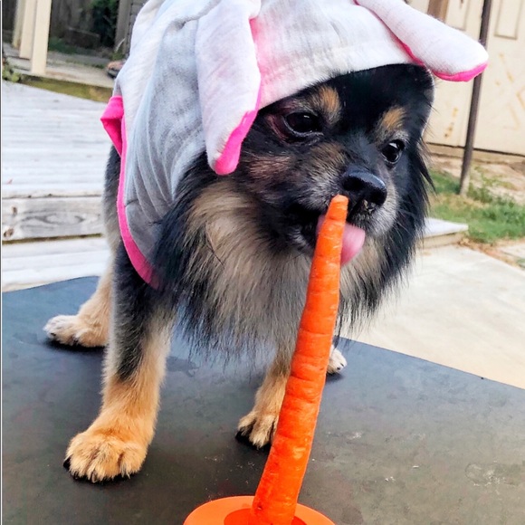 Meet your Posher, Donna - Picture 3 of 7